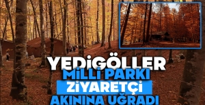 YEDİGÖLLER MİLLİ PARKI ZİYARETÇİ AKININA UĞRADI