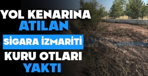 YOL KENARINA ATILAN İZMARİT KURU OTLARI YAKTI
