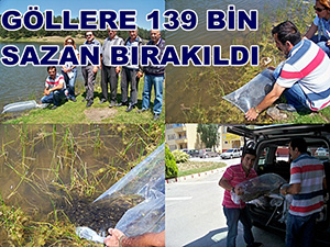 GÖLLERİMİZE 139 BİN PULLU SAZAN BIRAKILDI