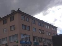 BAŞKAN İŞÇİNİN CANINI KURTARDI!