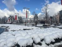 BOLU BEYAZLAR İÇİNDE BÜYÜLEDİ...