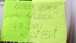 ÖĞRENCİLERDEN İNSANLIK DERSİ!