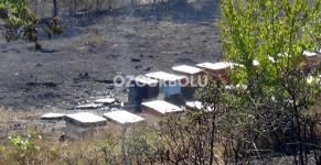 SARICALAR'DA KORKUTAN YANGIN!