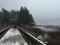 ABANT BEYAZ GELİNLİĞİNİ GİYDİ