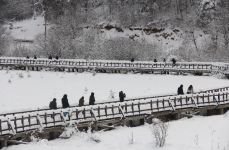 ABANT GÜZELLİĞİYLE BÜYÜLÜYOR