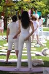 ABANT'TA YOGA YAPTILAR...