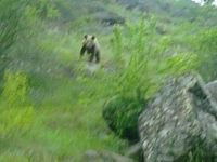 AYIYLA KARŞI KARŞIYA GELDİ