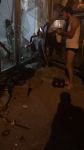 BAKSIRLI SÜRÜCÜ DEHŞET SAÇTI