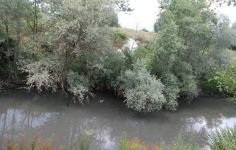 BAŞKANI ÇILGINA ÇEVİREN GÖRÜNTÜLER