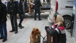 BIRAKIN EKMEĞİNİ KAZANSIN