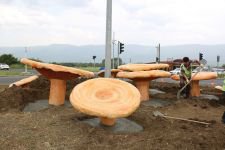 BOLU'NUN GİRİŞİNE KANLICA MANTARI...