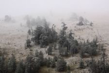 BOLU'YA KAR ERKEN GELDİ