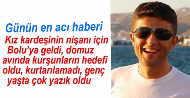 DOMUZ AVINDA HAYATINI KAYBETTİ