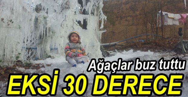 EKSİ 30 DERECEDE AĞAÇLAR DONDU