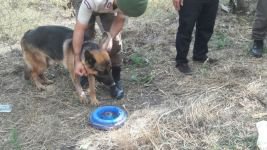 JANDARMA ARACI DEFALARCA TAKLA ATTI