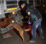 POLİS KENT MERKEZİNİ DİDİK DİDİK ETTİ