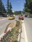 ŞAŞKINA ÇEVİREN KAZA...