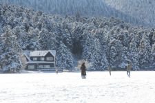 TEHLİKELİ EĞLENCE