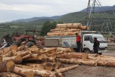 SÜRÜCÜ TOMRUKLARIN ALTINDA KALDI