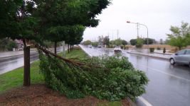 YAĞMUR VE FIRTINA HAYATI FELÇ ETTİ