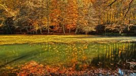 YEDİGÖLLER'E TAM PUAN....