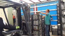 YİĞİTLERİMİZE 16 TON SEBEN ELMASI....