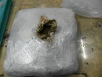 YOLCU OTOBÜSÜNE OPERASYON!