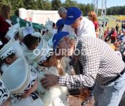 12 BİN KİŞİLİK DEV SÜNNET ŞÖLENİ