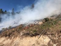 15 DÖNÜM ARAZİ YANARAK KÜL OLDU