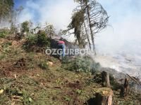 15 DÖNÜM ARAZİ YANARAK KÜL OLDU