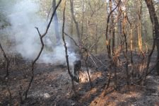 21 SAAT SÜREN KABUS....