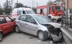 BAHÇE DUVARINA ÇARPARAK DURABİLDİ