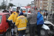 BAHÇE DUVARINA ÇARPARAK DURABİLDİ