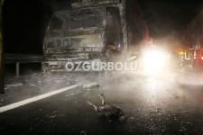 BİNLERCE TAVUK TELEF OLDU