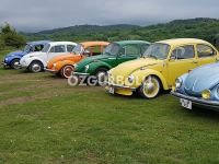 BOLU'DA VOSVOS ŞENLİĞİ