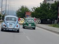 BOLU'DA VOSVOS ŞENLİĞİ