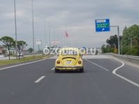 BOLU'DA VOSVOS ŞENLİĞİ