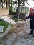 BOLU'DA YILAN PANİĞİ