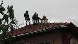 BUNALIMA GİRDİ CUMHURBAŞKANINI ÇAĞIRDI