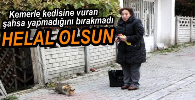 KEMERLE KEDİYE VURAN ŞAHIS SAHİBİNDEN ÖZÜR DİLEDİ