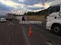 BÜYÜKBAŞ HAYVANLAR TELEF OLDU