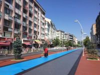 CADDE RENGARENK OLDU