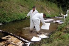 ÇEVRE KATLİAMINA REKOR CEZA