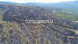 FELAKET HAVADAN GÖRÜNTÜLENDİ