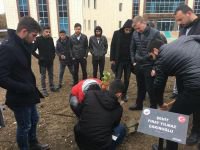 FIRAT ÇAKIROĞLU ANISINA...