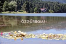 GÖLCÜK HAFTA SONU DOLDU TAŞTI