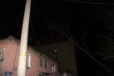 LODOS AĞAÇLARI DEVİRDİ