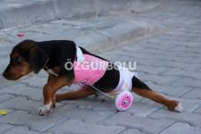 NE GÜZEL İNSANLAR VAR...