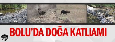 ODA TV DOĞA KATLİAMINI BÖYLE DUYURDU