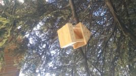 ÖĞRENCİLER VE ÖĞRETMENLER KUŞLARA UMUT OLDU